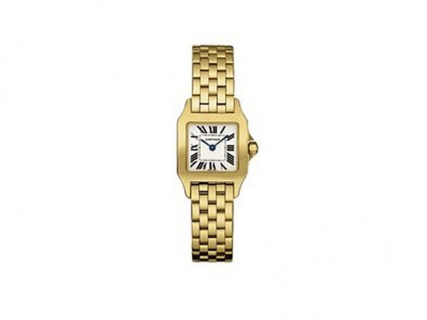 Cartier Santos Demoiselle