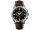 Omega Seamaster Railmaster