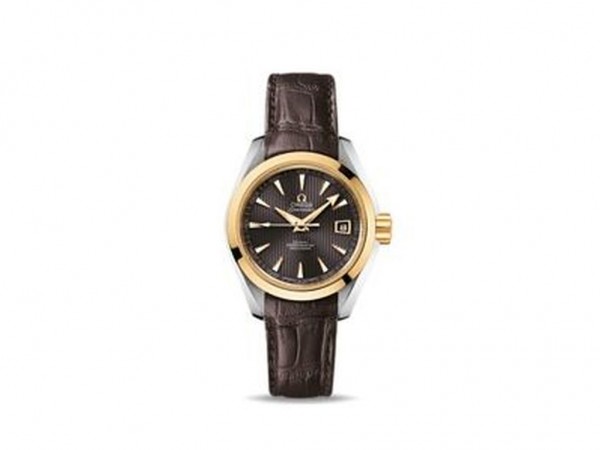 Omega Seamaster Aqua Terra Automatic