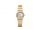 Omega Constellation Brushed Quartz