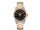 Omega Seamaster Aqua Terra Automatic