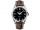 Omega Seamaster Railmaster